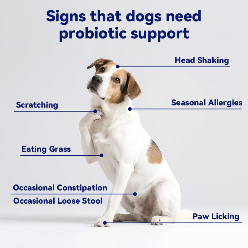 Probiotics for Dogs Natural Pork Flavor Supplement Chews Tablets