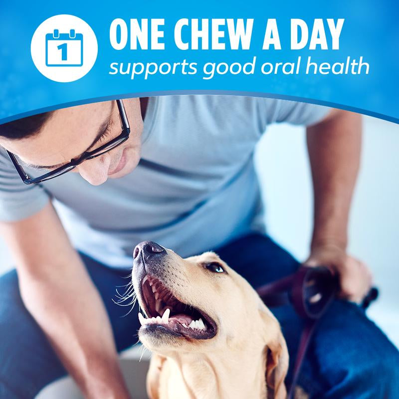 Purina Dentalife Daily Oral Care Chicken Flavor Dog Dental Chews Treats