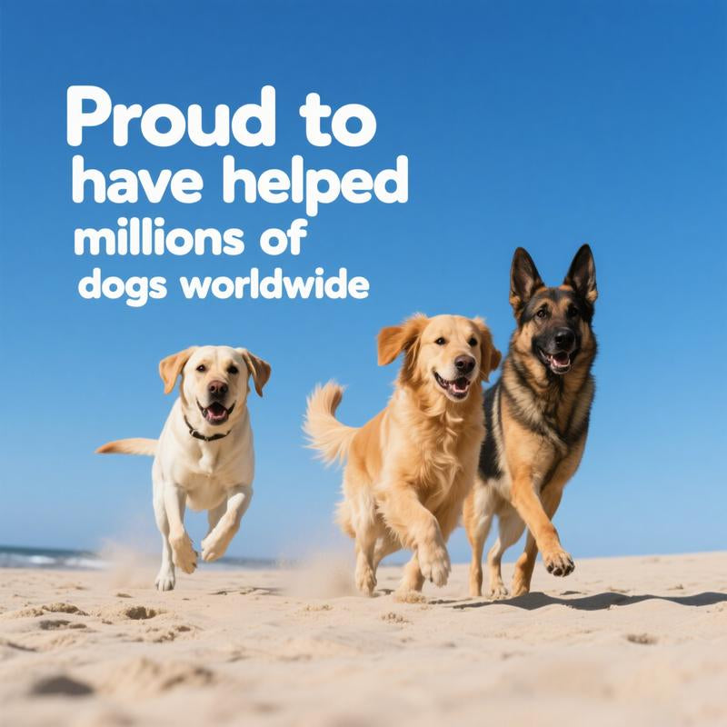 Probiotics for Dogs Natural Pork Flavor Supplement Chews Tablets