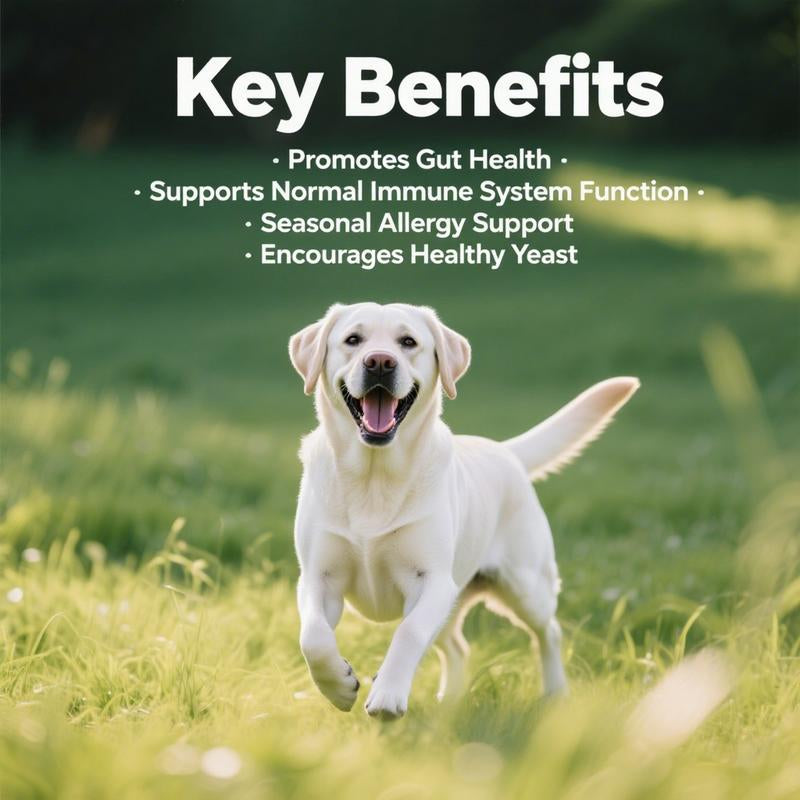 8-In-1 Multivitamin Soft Chews for Dogs – Probiotics, Gut & Immune Support – Natural Pork Flavor