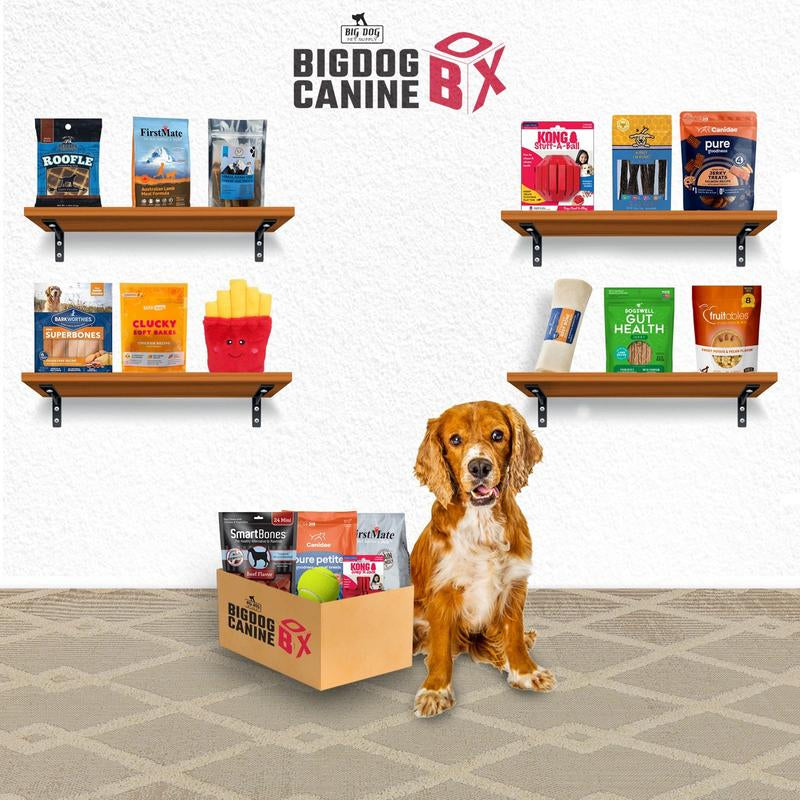 Big Dog Canine Box for Medium Dogs – New Surprise of Premium Treats & Toys Every Time You Order