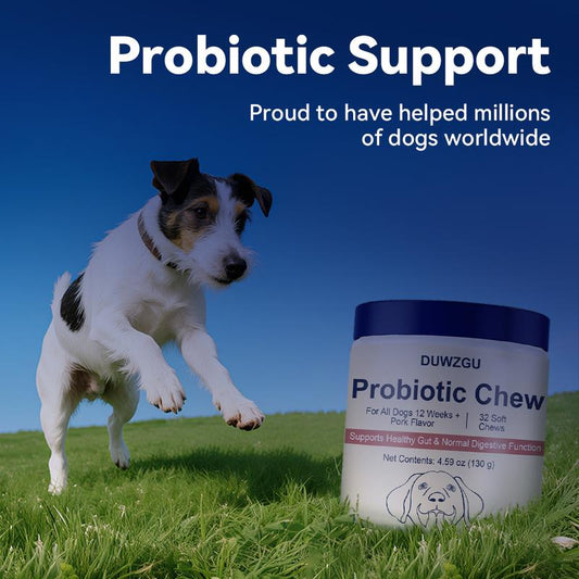 Probiotics for Dogs Natural Pork Flavor Supplement Chews Tablets