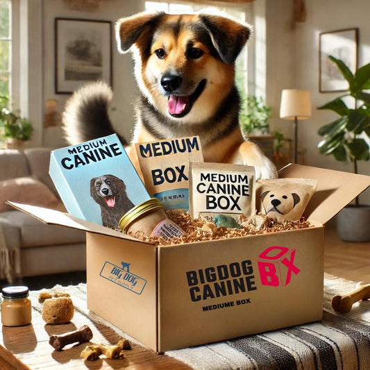 Big Dog Canine Box for Medium Dogs – New Surprise of Premium Treats & Toys Every Time You Order